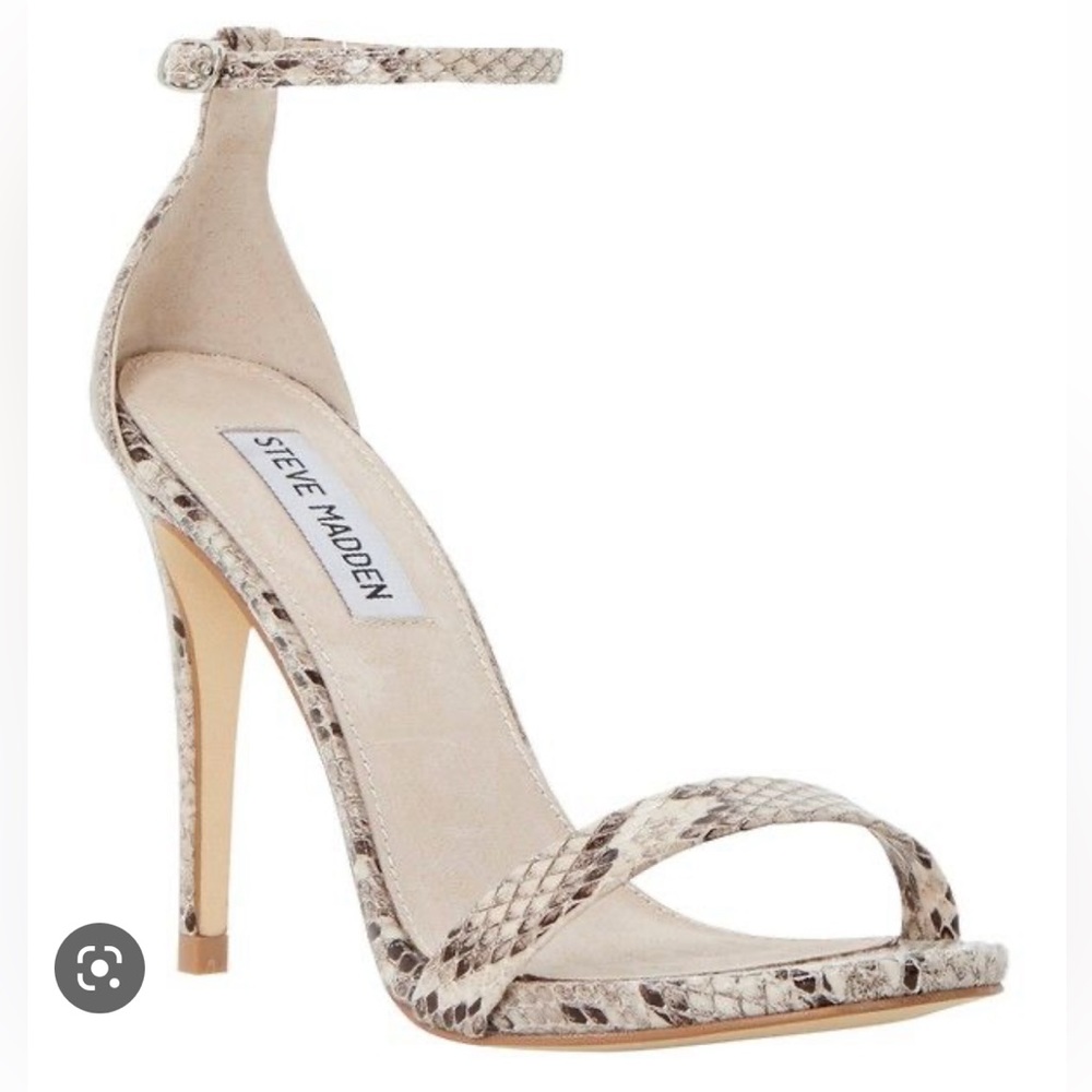 Steve Madden ‘Stecy’ Snake
